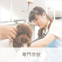 専門学校